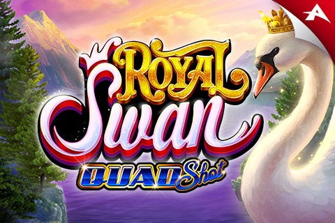 Royal Swan: Quad Shot